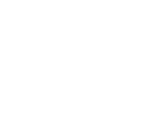 The logo for Smile Style NY, an orthodontic office in Mt Kisco serving Westchester County